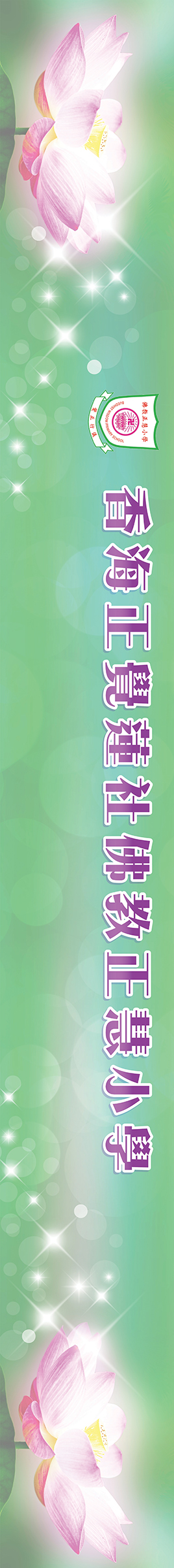 placeholder image-sq